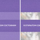 Basic сиреневый NEW